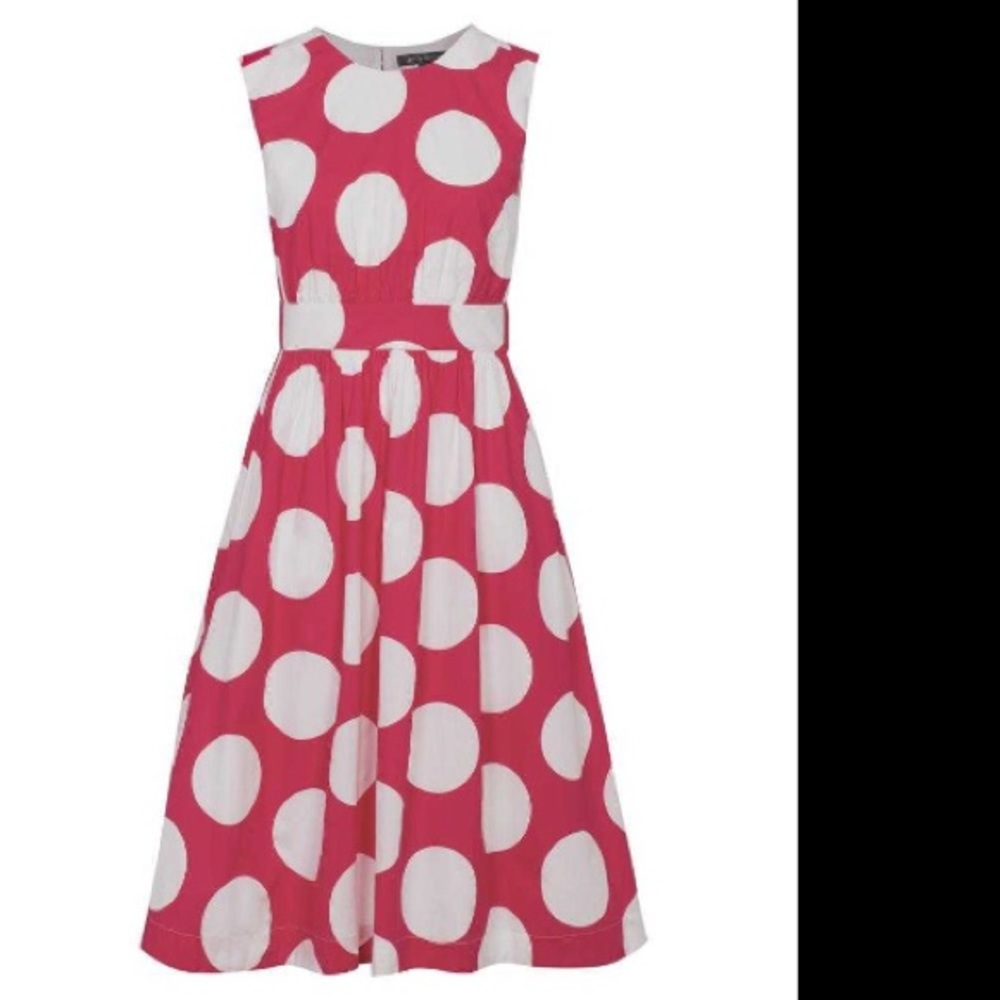 NWOT Emily and Fin Lucy dress midi length A-line